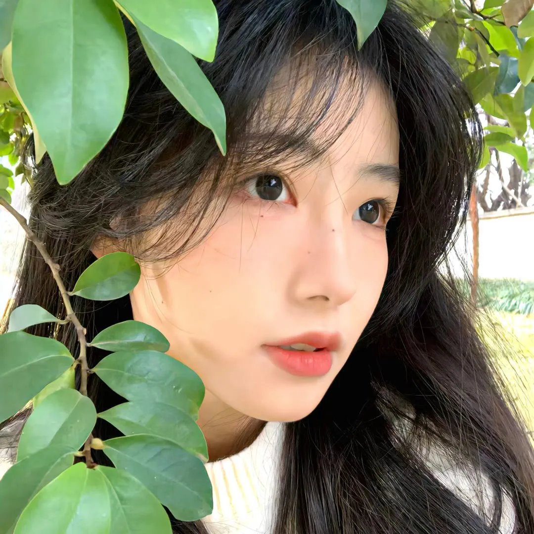 真实的谎言